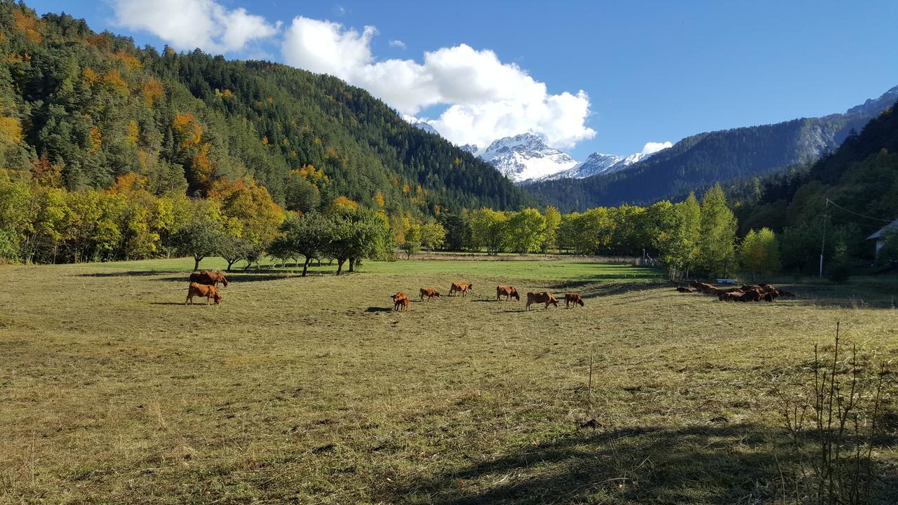 Gite De Boscodon Crots Exterior foto